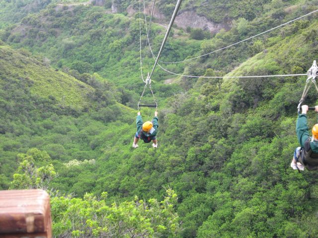 IMG 0600 copy
